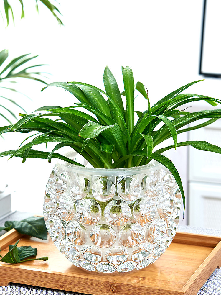 Hydroponic utensils Creative glass flower pot Hydroponic plant bottle Transparent flower vase Gold Ge Copper money grass vase Round container