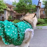 Pet Parent -Килд обычая весна и летняя девочка