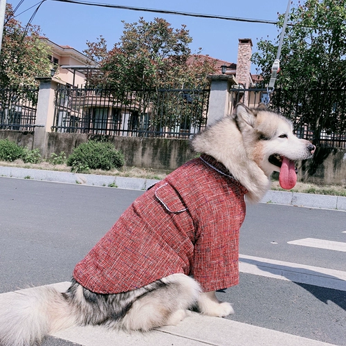 Кружева шерстяная куртка домашние животные весна и осенняя юбка кошки и собачья одежда Тедди Джинмао Ала