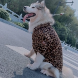 Pet Leopard Pattern осень и зимние розетки плюшевая скот кошка Bull Cat Golden Hair Alaska Cardigan две юбки