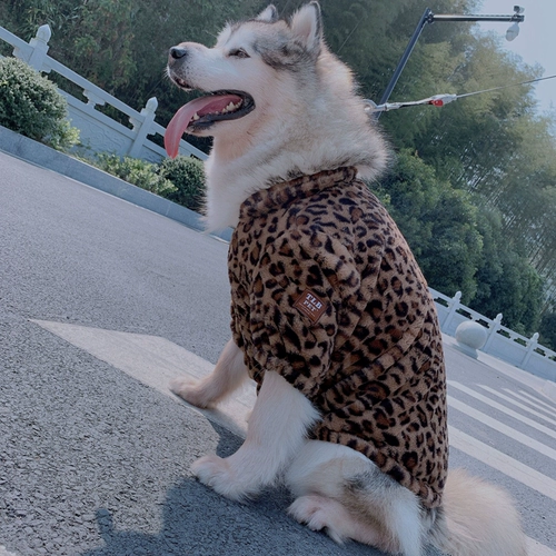Pet Leopard Pattern осень и зимние розетки плюшевая скот кошка Bull Cat Golden Hair Alaska Cardigan две юбки