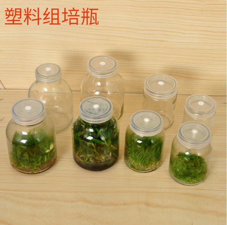 塑料组培瓶270/350/480/500ml 耐高温组培容器广口瓶 透气盖ML
