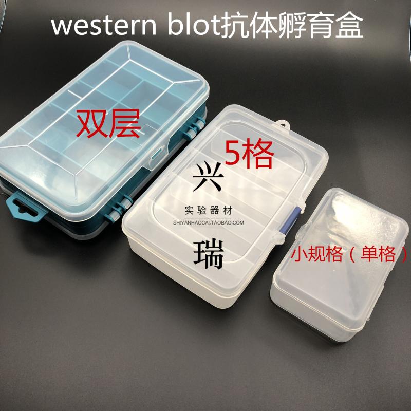 western blot抗体孵育盒  免疫组化湿盒 小规格5格双层wb抗体孵育