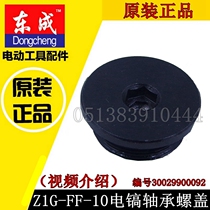 DCA Dongcheng Z1G-FF-10 electric pick bearing rogai accessories with GBH11DE electric pick