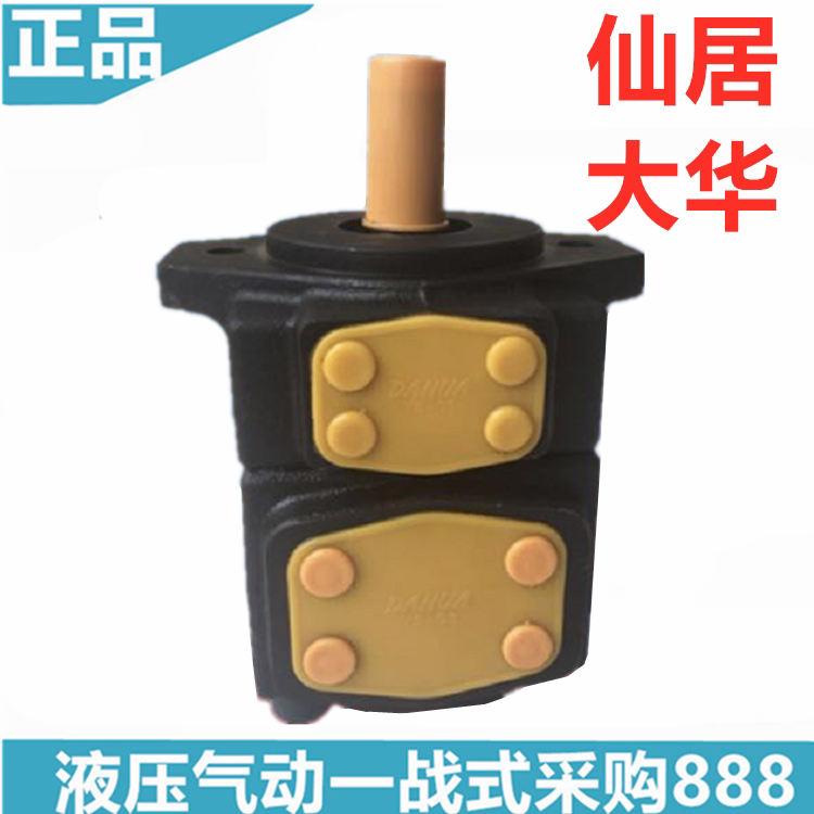 dahua Xianju Dahua PV2R1-6 4 8 10 12 14 17 19 23 28 28 31 31 33 33 Y-fR