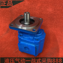 Engineering vehicle gear pump JHP-G 2100 2150 2180 2163 2040 3140 3150 C R