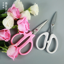 Floral Scissors Japan Import Flart Prunes Cut Flowers Art Division Bouquet Florist Bouquet Flower Shop With Pink Green White Black