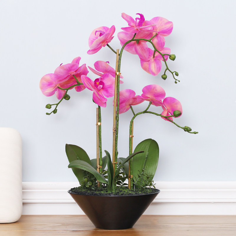 �����Լװ�β����ڼ�REC1B0