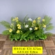 [Белый+Huang Persian Chrysanthemum sanjieflower] Жемчужный хлопок 1 метр*28 см.