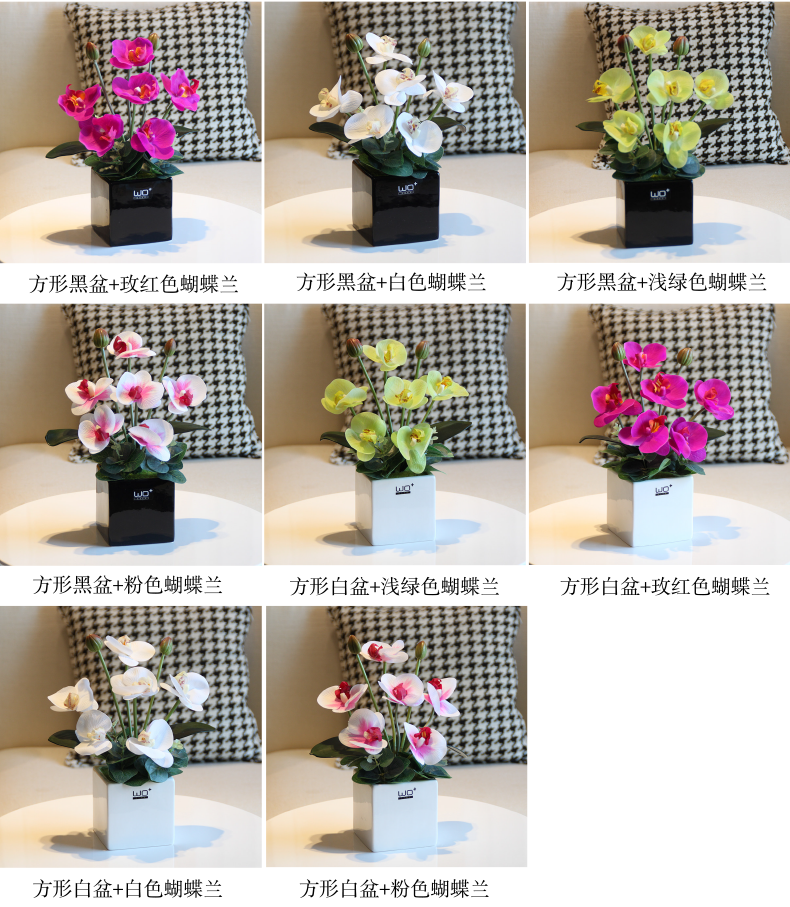 Send the PU + high simulation butterfly orchid floral suit I and contracted desktop conference decoration is seems ceramic flower pot