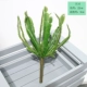 Fairy Palm (одиночные руины)