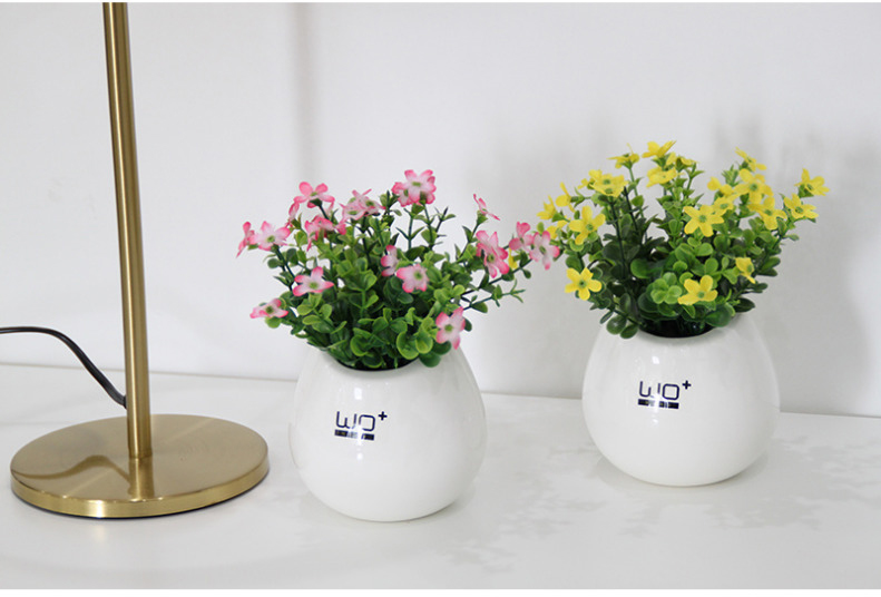 The Send + simulation flowers stars by with false ceramic basin suit bookshelf for wash one tea table and fresh flower pot