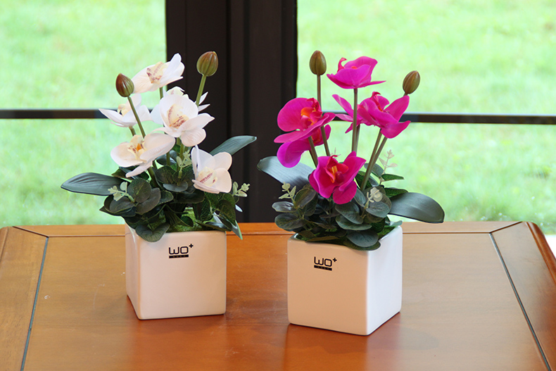 Send the PU + high simulation butterfly orchid floral suit I and contracted desktop conference decoration is seems ceramic flower pot