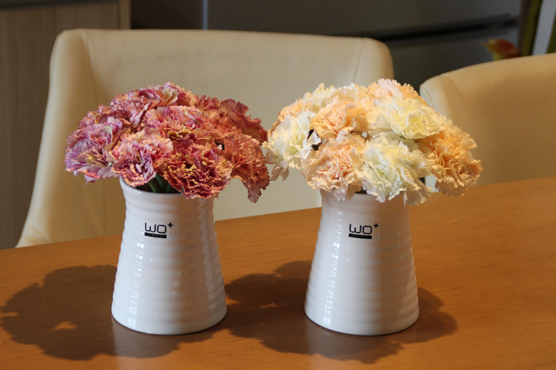 Send fake flower carnation flower the suit + simulation ceramics glass vases, flower arranging silk flowers in living in adornment