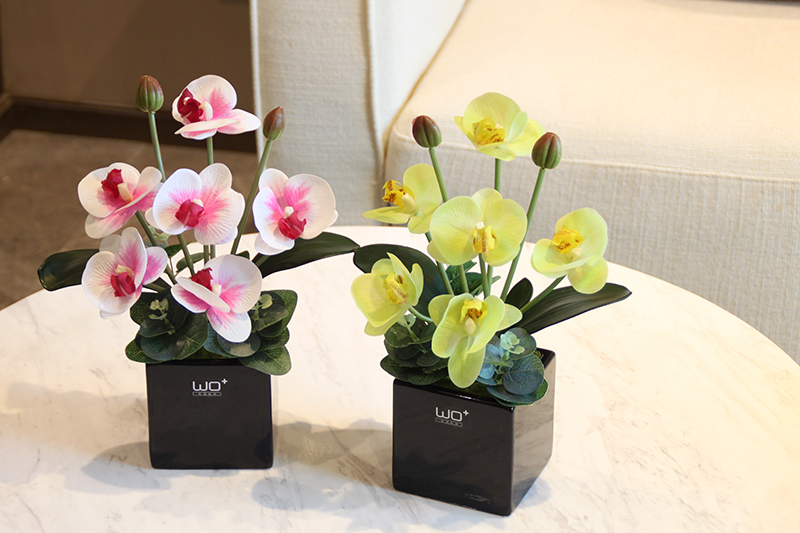 Send the PU + high simulation butterfly orchid floral suit I and contracted desktop conference decoration is seems ceramic flower pot