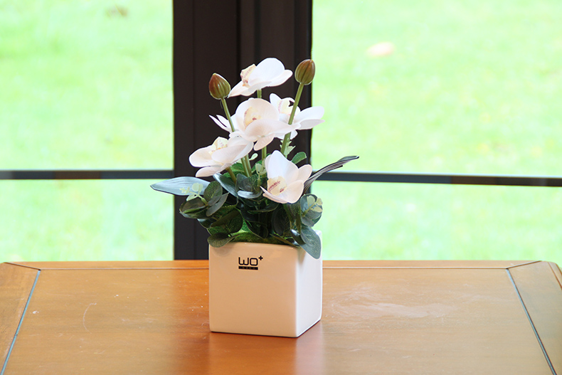 Send the PU + high simulation butterfly orchid floral suit I and contracted desktop conference decoration is seems ceramic flower pot