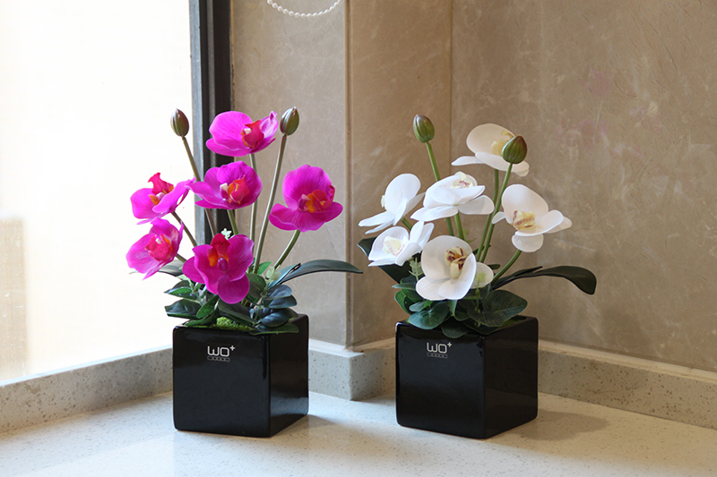 Send the PU + high simulation butterfly orchid floral suit I and contracted desktop conference decoration is seems ceramic flower pot