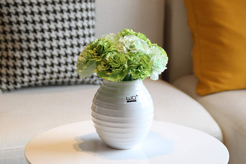 Send fake flower carnation flower the suit + simulation ceramics glass vases, flower arranging silk flowers in living in adornment