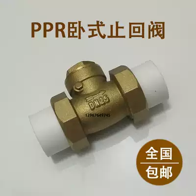 Horizontal ppr check valve hot melt double live copper check valve 4 minutes 6 minutes 1 inch 20 25 32 household water pipe fittings