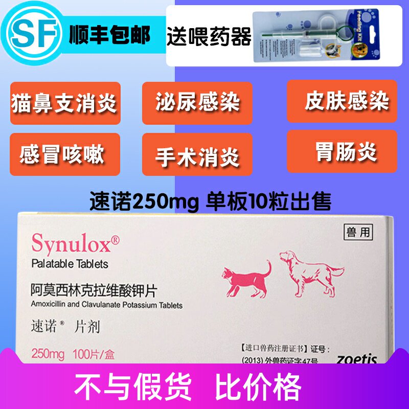 Zinno 250 mg dog cat Amosilin Claverate Pet Skin Disease Anti - inflammatory drug 10 grains