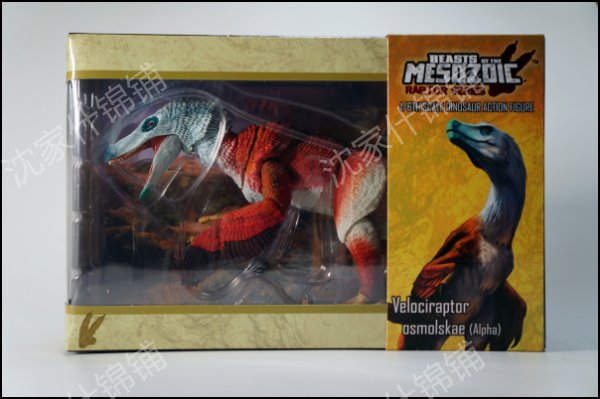 (Spot) Beasts of the Mesozoic Xun Jurong Jurassic Chronicle Dragon dragon qualification