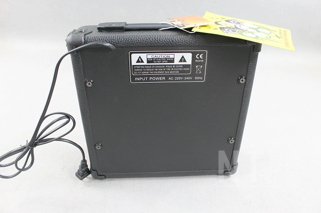 Cửa hàng Trung Quốc HUNTER hunter 20W loa guitar điện siêu mỏng chuyên nghiệp - Loa loa