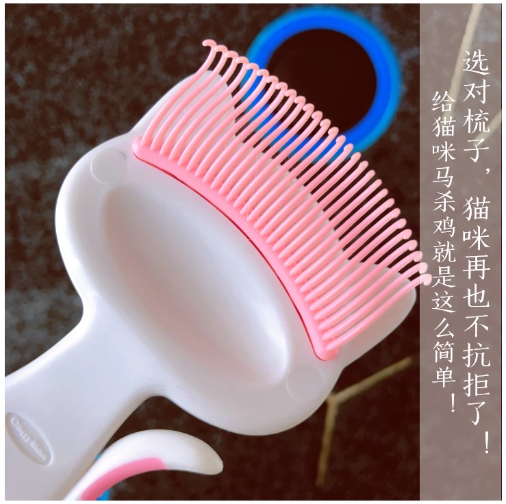 Chải mèo thành tiếng càu nhàu - Cat / Dog Beauty & Cleaning Supplies