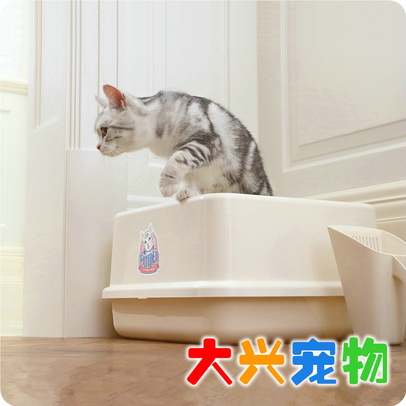 Chinese Catidea Cattle Cattle Square Cat Sand Bottle under 10 kg Cat Cat Sand Bottle ] 1