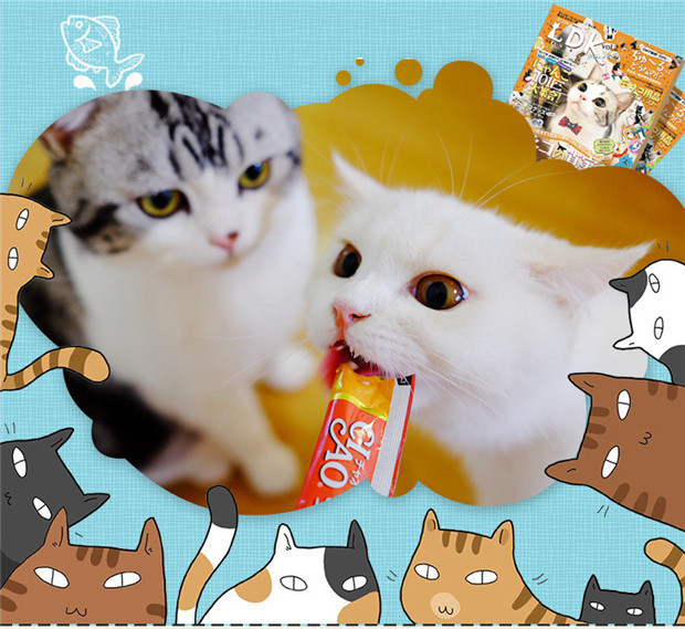 Inabao CIAO 啾 Liquid Cat Snacks / Liquid Cat Strips BBQ Series Hương vị Tùy chọn 12g * 4 kinh doanh thức ăn chó mèo