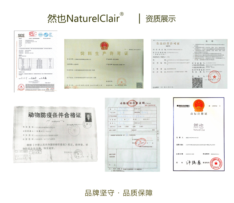 Trung Quốc NaturelClair cũng là đồ ăn nhẹ cho mèo khô đông nguyên con 50g [khoảng 36] cá hộp