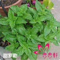 Sweet Laler 200 капсулы+прорастание