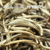  Yunnan Moonlight White Tea Raw Puer Maojian Tea Single bud Head Spring Loose Tea Jinggu Dabaihao 250g Scientific Youth