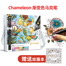 Childrens gift painting brush British Chameleon Pens Chameleon painting marker pen gradient color pen