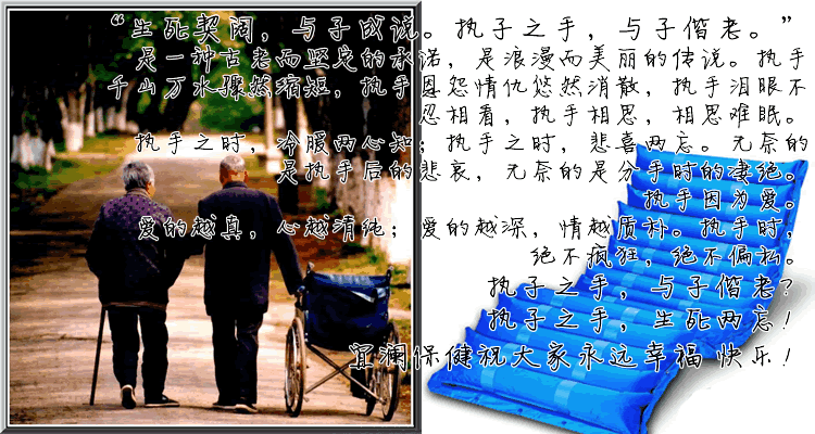 執子之手