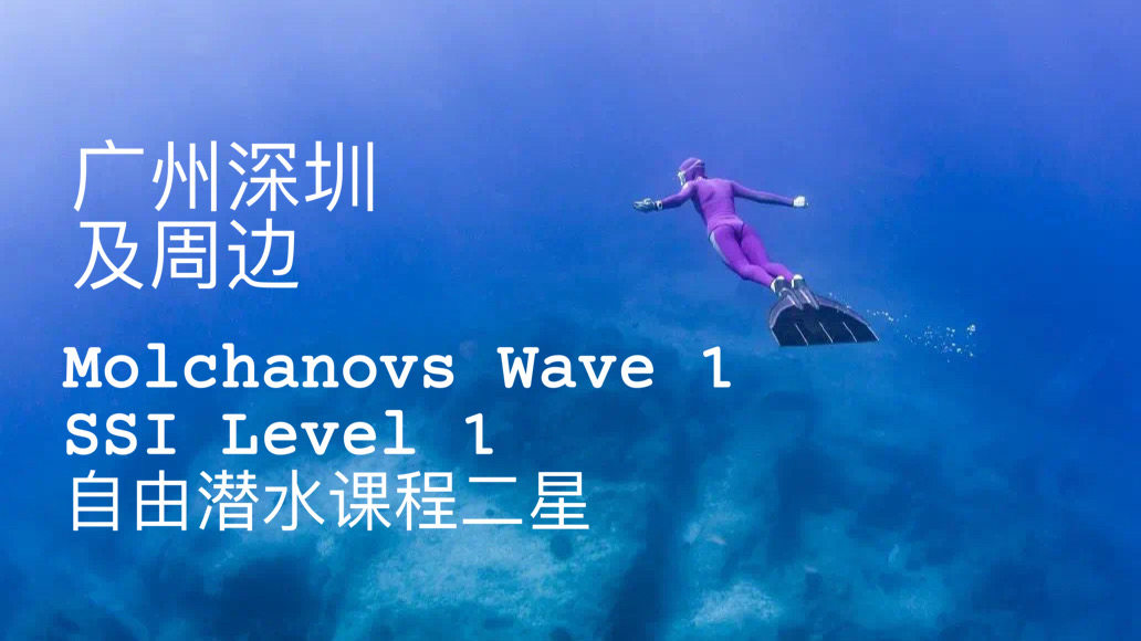 Aida Two Star Molchanovs Matcha Wave1SSI Level 1 Freediving around Guangzhou and Shenzhen