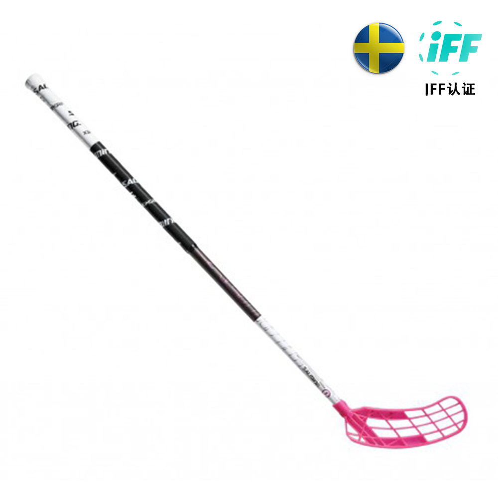 Dryland Ice Hockey Sareep Adult Soft Hockey Ball Rod Salming Q1 KZ Kim Nilsson 7