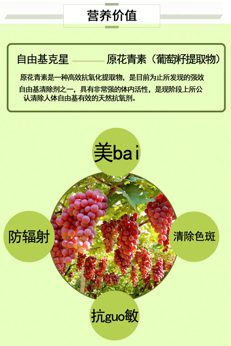 GNC 健安喜葡萄籽精华 300mg