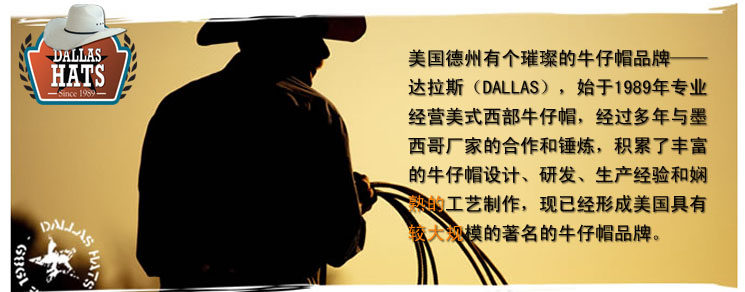 Article équitation DALLAS - Ref 1380916 Image 14