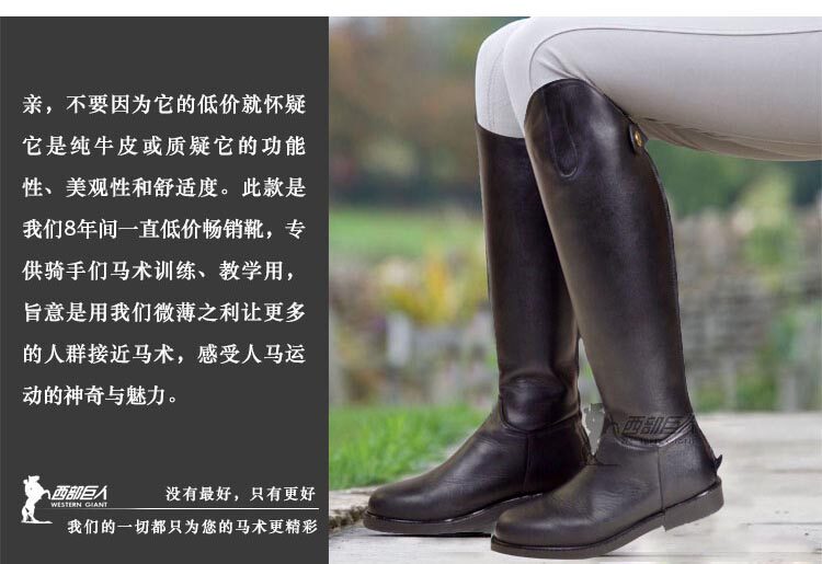 Article sports equestres - Ref 1381746 Image 19