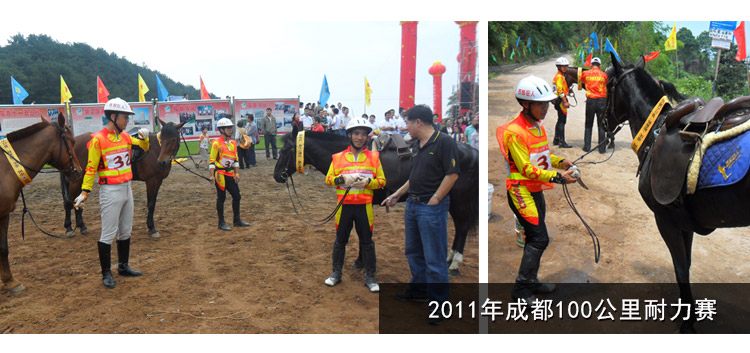 Article équitation WEST GIANT - Ref 1379838 Image 23