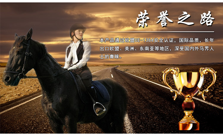 Article équitation WEST GIANT - Ref 1379838 Image 7