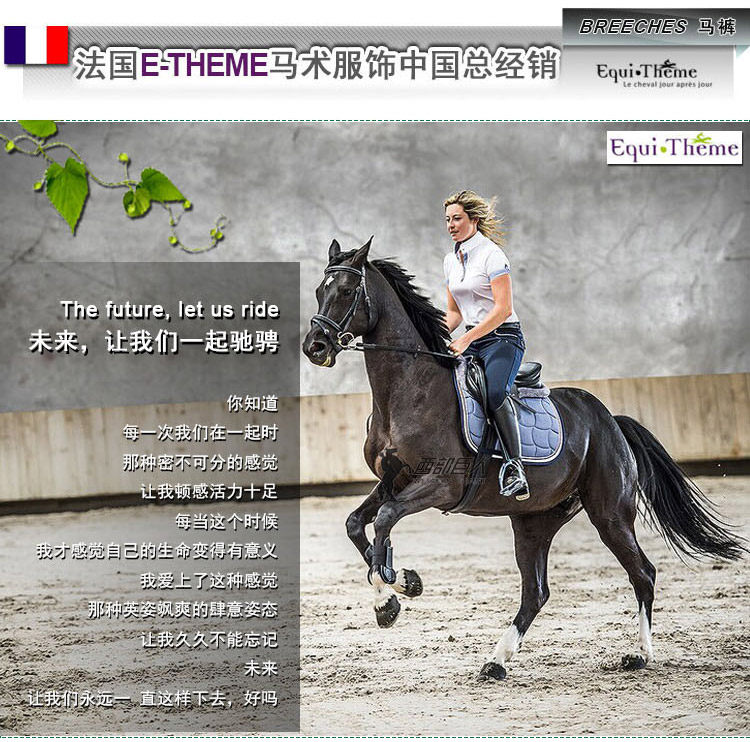 Article sports equestres E-THEME - Ref 1381815 Image 19