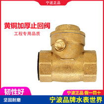 Horizontal check valve brass check valve backstop valve water pump water stop valve 4 points 6 points 1 inch home valve