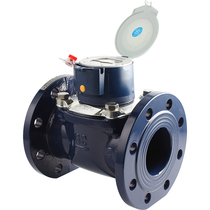 WPD Shenshuss core special water meter imported mechanism Industrial professional DN50 Professional water meter