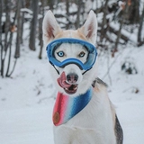 REX Spects REX Spects Rex Pet Pet Dog Зеркало Ветром Зеркало Снежное зеркало солнцезащитные очки защитные глазные собаки