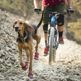 Американская RW Rafwell Pet Outdoor Gree Full -Terrain Защитная обувь собак и собак Обувь анти -молеса постоянная обувь