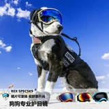 REX Spects REX Spects Rex Pet Pet Dog Зеркало Ветром Зеркало Снежное зеркало солнцезащитные очки защитные глазные собаки