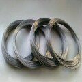 Tungsten rhenium thermocouple wire diameter 0 5 units against the rice