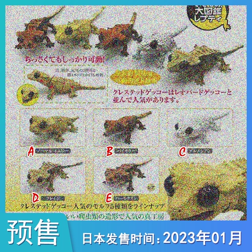 Type Play Club Bandai Gacha Toy Biotechnology Biotuka Active Gallery Устойчивая переезда в Pre -Sale