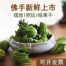 (Little bergamot) Pocket Mini small bergamot Qing for playing fragrance Jinhua bergamot small fruit Zhejiang specialty